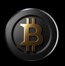 Bitcoin coin
